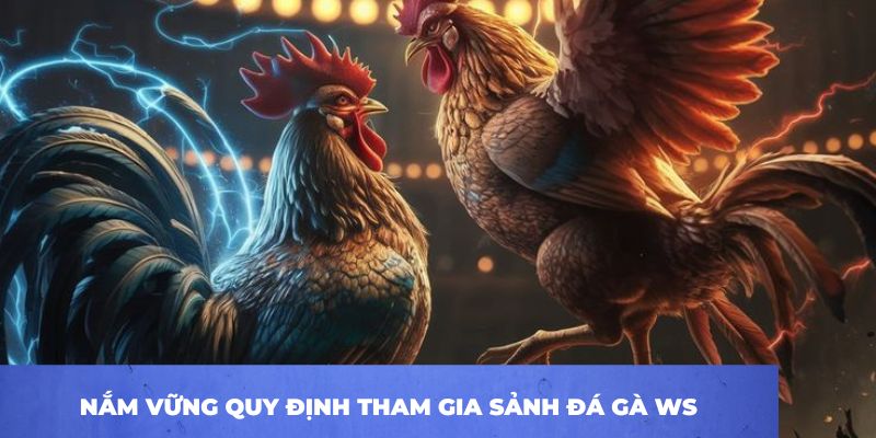 Nắm vững quy định tham gia sảnh đá gà WS